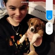 Stream Enya O'Donnell music