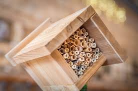 How to build a bee house. Build A Mason Bee House Duluth Folk School