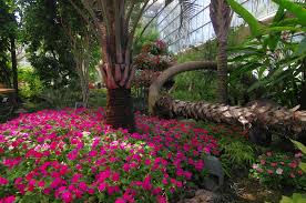 Top hotels close to gilroy gardens family theme park. Inside The Monarch Garden Gilroy Gardens Family Theme Park 8 2013 Mapio Net
