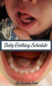 Pin On Pregnancy Baby Care