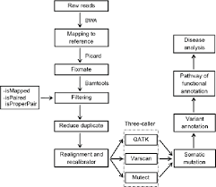 Figure 1 From A Three Caller Pipeline For Variant Analysis