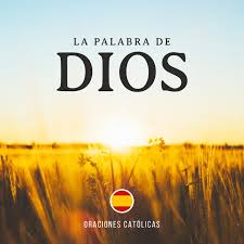 Si desea colaborar en esta página con alguna oración de su inspiración, envíenosla a la siguiente dirección: Oraciones Catolicas Album By La Palabra De Dios Spotify