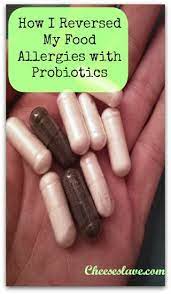 How I Reversed My Food Allergies With Probiotics Cheeseslave Food Allergies Allergies Probiotics
