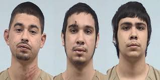 Three from Elkhart arrested after violent fight
