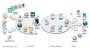 The Softer Versions Of Dms Are The Safer And Efficient One Document Management System Management Records Management