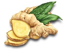 11 Health  benefits of Ginger &with image 