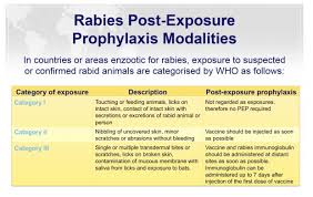 Prickling or itching sensation around the bite. Rabies Vaccine Litfl