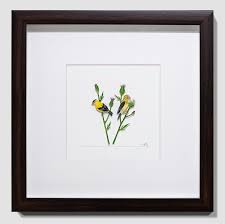 Nayan and Venus - American Goldfinch For Sale at 1stDibs | alisa goldfinch  sets, alissa goldfinch, alisa goldfinch age