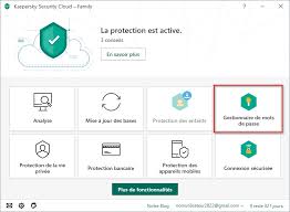 Kaspersky Password Manager Gestionnaire De Mots De Passe Dans Kaspersky Security Cloud 20