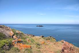 For those who love adventure. Ustica Photos Featured Images Of Ustica Islands Of Sicily Tripadvisor