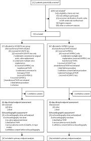 safety and efficacy of a self expanding versus a balloon