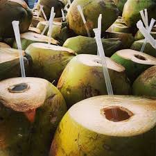 Jelly Coconut Water Missing Coconut Now Coconut Coconut Water Caribbean Recipes