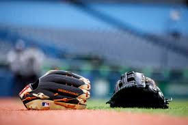 Baseball 101: Learn the game over the offseason - DRaysBay