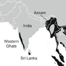 Between the tropic of cancer and the tropic of capricorn. 4 Distribution Of Tropical Rainforest Black In India And Sri Lanka Download Scientific Diagram