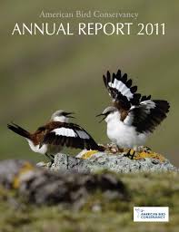 AnnuAl RepoRt 2011