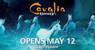 cavalia odysseo may 12 july 8 bell mts place bell