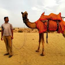 Next (battle of the pyramids). Camel Man Picture Of The Mama S Resort And Camp Jaisalmer Tripadvisor