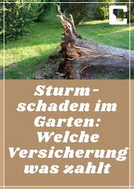 sturmschaden im garten welche versicherung was zahlt versicherung sturm sturmschaden