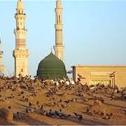 ومن الأدعية المجربة عندي في طلب السعادة وقد إلتزمت به من قديم الزمان ورأيت الخير والسعادة في حياتي ما ورد في كتاب (مفاتيح الجنان) في تعقيبات صلاة الصبح عن مولانا الإمام الصادق(ع) قال: ØµÙ„Ø§Ø© Ø§Ù„Ø§Ø³ØªØºÙØ§Ø± ÙˆØ³Ø¹Ø© Ø§Ù„Ø±Ø²Ù‚ Ø§Ù„Ø´ÛŒØ¹Ø©