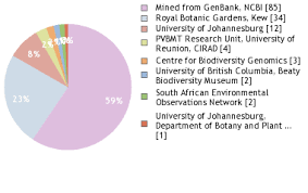 Image result for Phylica emirnensis