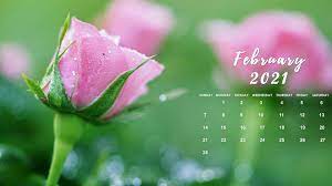 A selection of recommended innovative and original screensavers of all types and suited to all ages will enable you to design the. 38 February 2021 Wallpaper On Wallpapersafari