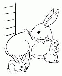 I love this super cute bunny rabbit coloring page. Cute Baby Bunny Coloring Pages Coloring Home