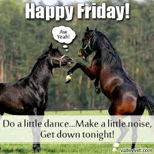 Pin On Horse Sayings