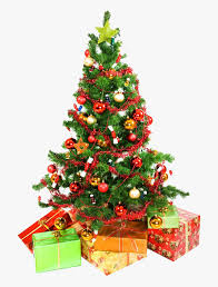New users enjoy 60% off. Xmas Tree Png 12 By Iamszissz White Background Christmas Tree Transparent Png Transparent Png Image Pngitem