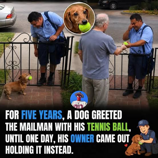 Dog Waits 5 Years for Mailman, Fond Farewell | TikTok
