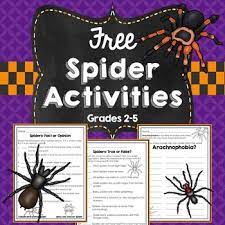 Free Spider Activities Spider Activities Free Spider Spider Facts For Kids