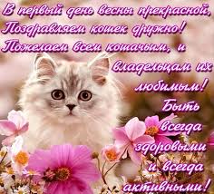 8 августа 2020 года празднуется всемирный день кошек! Otkrytki Na Den Koshek Krasivye I Prikolnye Kartinki 33 Podelki Otkrytki Kartinki Veselye Kartinki