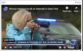 We pride ourselves on the level of service provided to our valued clients. Re And The September 2019 Darwin Award Goes To Nature And Wildlife Photography Forum Digital Photography Review