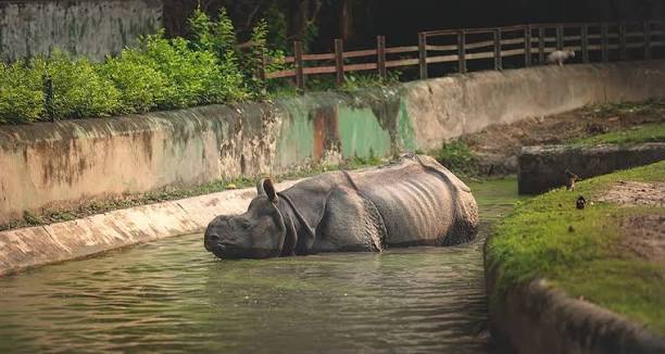 Alipore Zoological Garden