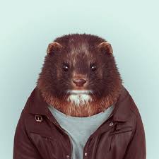 Zoo Portraits Animals Dressed Like Humans Hayvanlar Hayvan Illustrasyonlar
