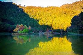 力麗馬告生態園區 datong hotel hotel offers