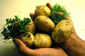 Resultado de imagen de patatas crudas