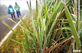 中華民國教育部版權所有© 2015 ministry of education, r.o.c. Cgp4ssj1dijxdm