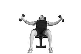 By raising your arms across your body while lying on an incline bench, you emphasize the upper pectoralis major, as opposed to your front deltoids, which is emphasized in the traditional front raise movement. Upper Body Exercises To Do With Dumbbells The Healthy