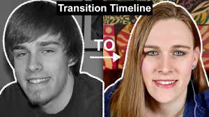 Levitt provides a simpler description of trans woman. Download Pic A Day Mtf Transgender Hrt Transition Timeline