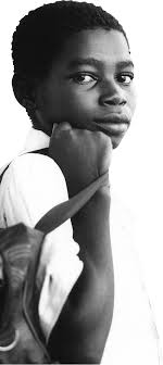 EVALUATION OF STEPPING STONES: