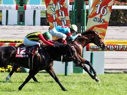 週刊ヤングジャンプ 2021年24号 zip 週刊ヤングジャンプ 2021年24号 rar 週刊ヤングジャンプ 2021年24号 raw 週刊ヤングジャンプ 2021年24号 dl 週刊ヤングジャ. Ehsqxwjh8xhymm