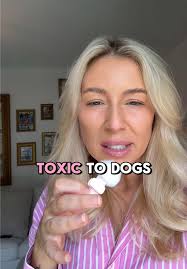 📣 Pet owners! 📣 this is my new favourite apps to tell pet parents about!  😍🩺👩🏼‍⚕️🐶🐾 It even features a Ground Surface Temperature Indicator  🔥🌡️🐾 Head to the App Store and download the “Pet Pawtal” App ...