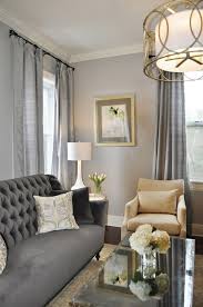 Light Grey Sofa Decorating Ideas Grey Living Room Ideas Pinterest What Color Furniture Goes Wit Gold Living Room Gold Accents Living Room Grey Sofa Living Room