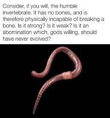 Stance On Worms R Neverbrokeabone