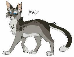 Ashfur S Design Warrior Cats Art Warrior Cat Drawings Warrior Cats Fan Art
