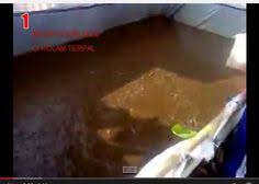 Kolam terpal bundar fullsett diameter 2,5 m tinggi 1.2 m. 11 Kolam Terpal Ideas Backyard Aquaponics Aquaponics Aquaponic Gardening