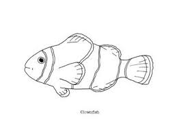 878x763 cartoon fish coloring pages cartoon coloring pages of free. Clownfish Coloring Page Fish Line Drawing Fish Coloring Page Fish Drawings