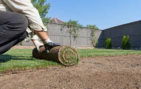 For most homes and small businesses, we will deliver and lay down your new lawn in just one day. Lawn And Grass Service New Sod Delivered Installed