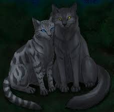 Silverstream And Graystripe By Vialir On Deviantart Warrior Cats Books Warrior Cats Art Warrior Cats Fan Art