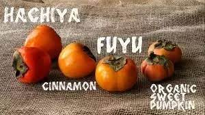 The american persimmon has a rich, sweet taste. How Would You Describe The Taste Of A Persimmon Is It A Cross Between Two Or Three Fruits Quora